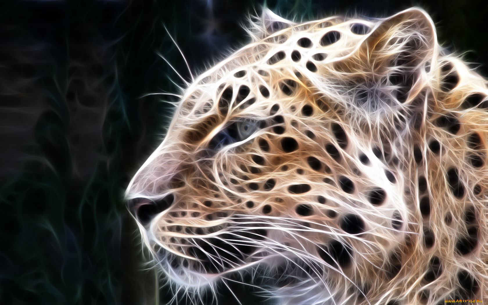 3, , animals, 